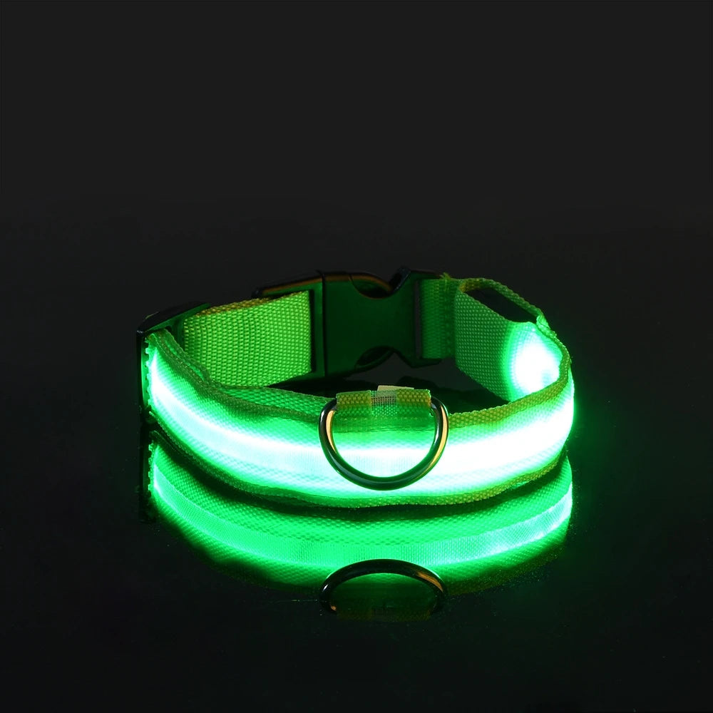 Glowing Pet Collar Leash - Varixo
