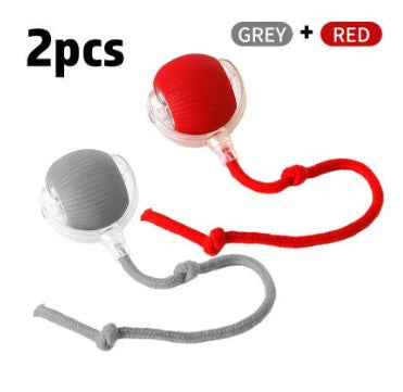 Interactive Cat Toy Ball Super Drive Cat Rolling Ball - Varixo