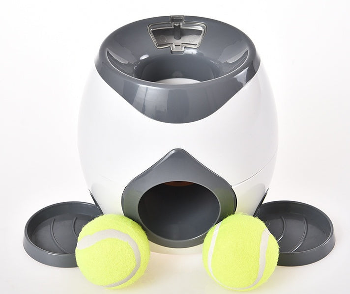 2-in-1 Interactive pet puzzle & Slow Feeder - Varixo