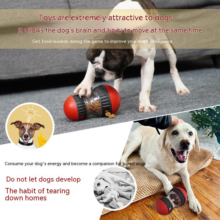Food Dispensing pet Toy - Varixo