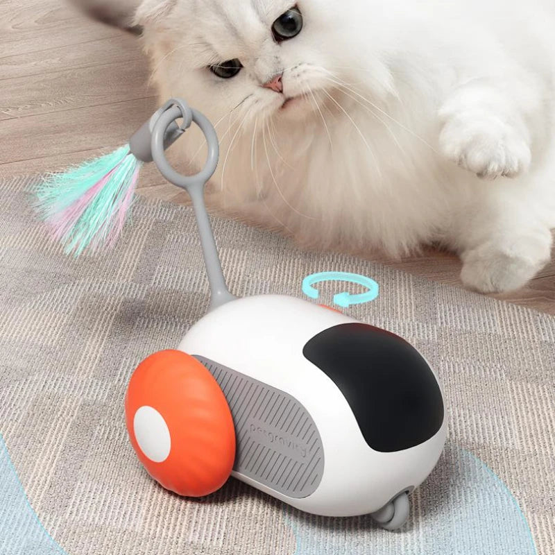 Remote Control Interactive pet Car Toy - Varixo