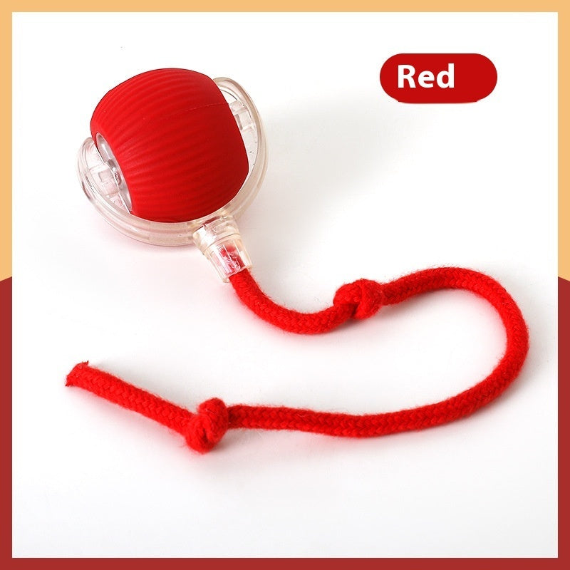 Interactive Cat Toy Ball Super Drive Cat Rolling Ball - Varixo
