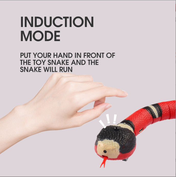 Interactive Electric Induction Snake Funny Cat Toy - Varixo
