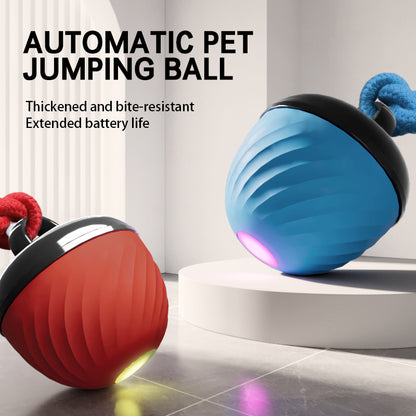Electronic Interactive Moving Ball Pet Toy - Varixo