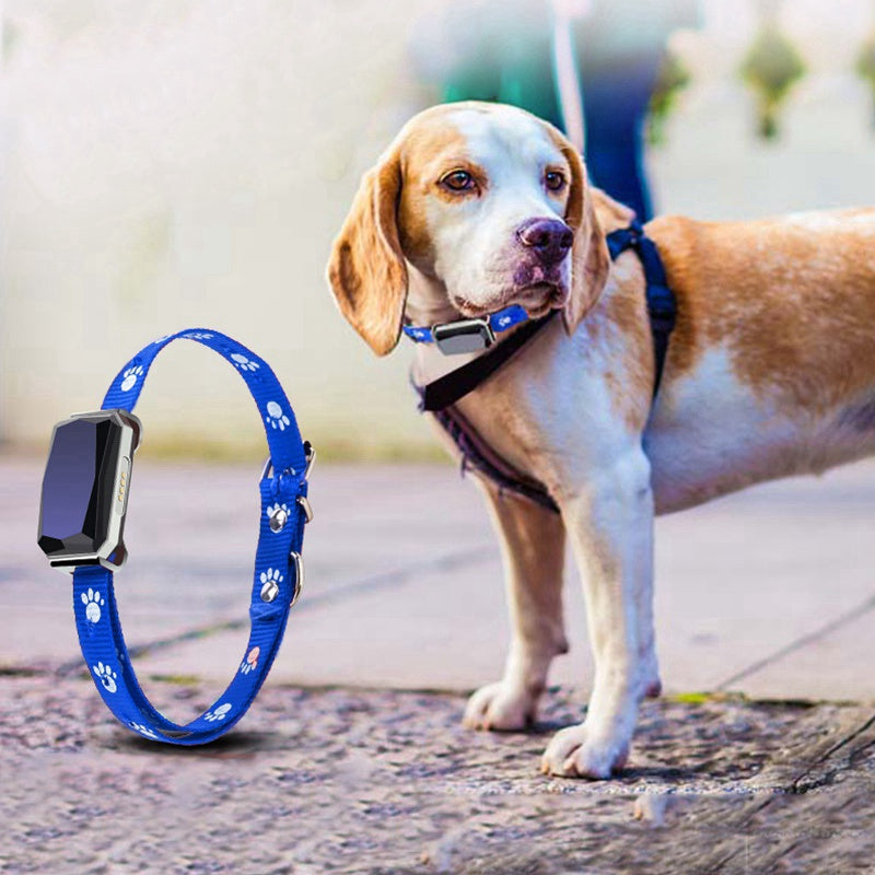 GPS pet collar locator - Varixo