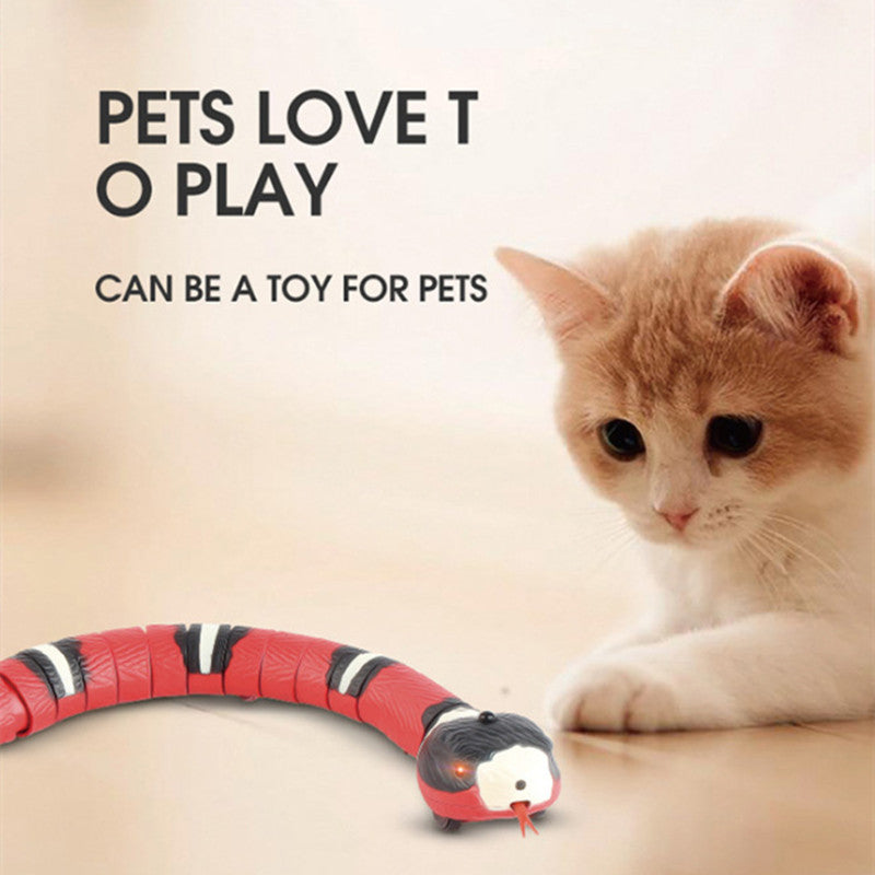 Interactive Electric Induction Snake Funny Cat Toy - Varixo