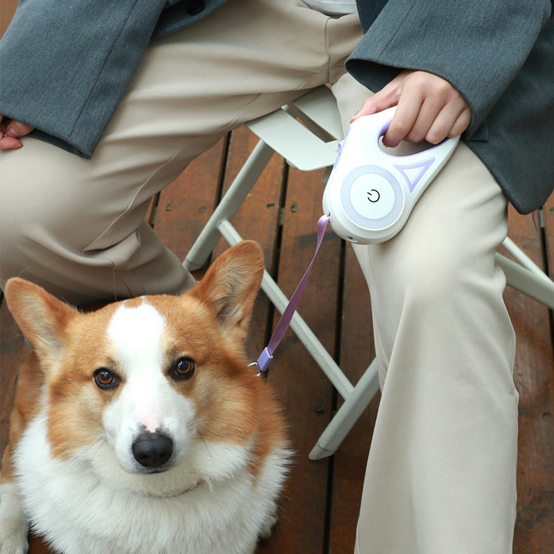 Retractable Cat and Dog Leash And Collar - Varixo