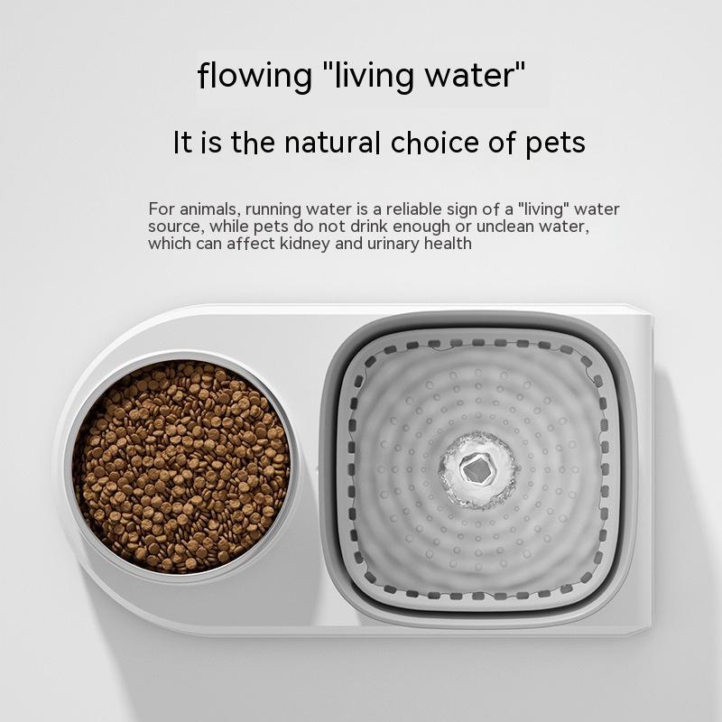 All-in-one Automatic Feeder And Water Fountain - Varixo