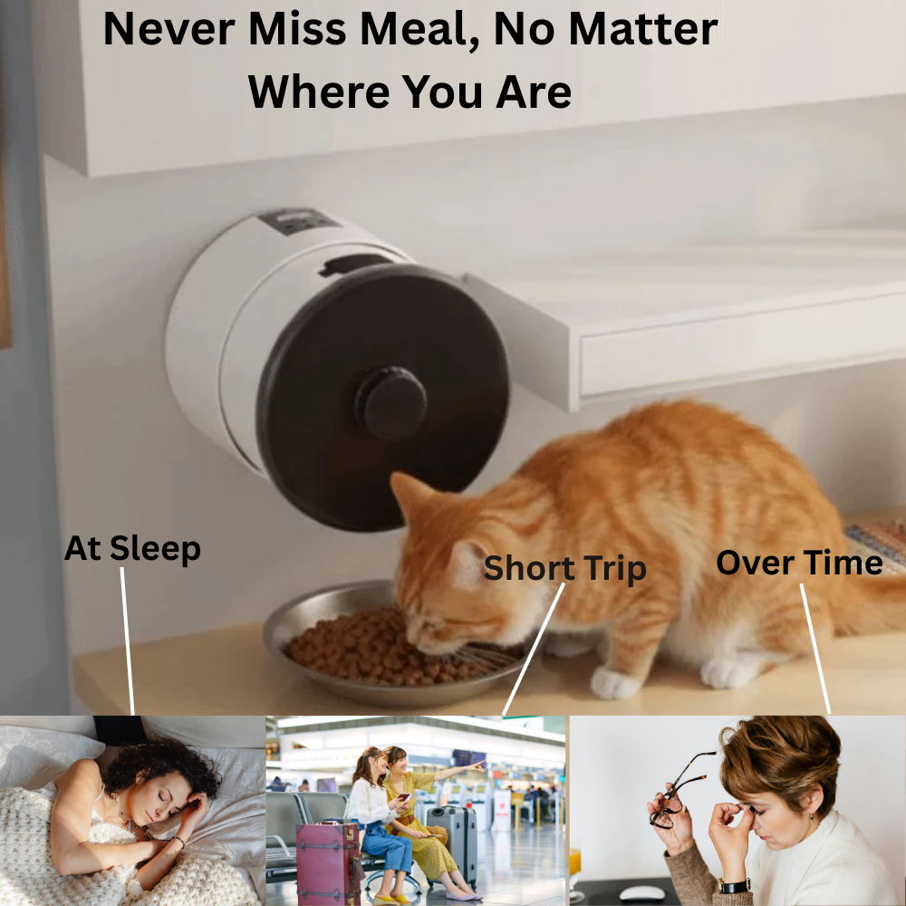 Button/WIFI Control Pet Automatic Feeder - Varixo