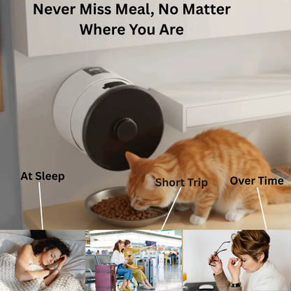 Button/WIFI Control Pet Automatic Feeder - Varixo