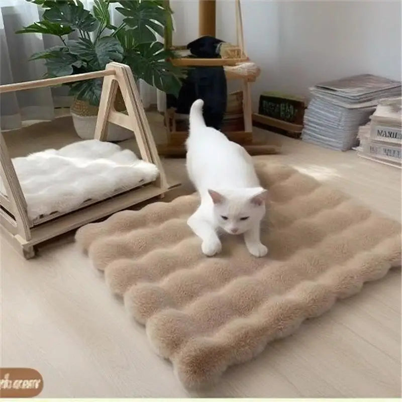 Cat Bed Eco-Friendly 100% Cotton Solid Dog Bed-Classic Non-Waterproof Lightweight Hand Wash All Seasons Use for Living Room