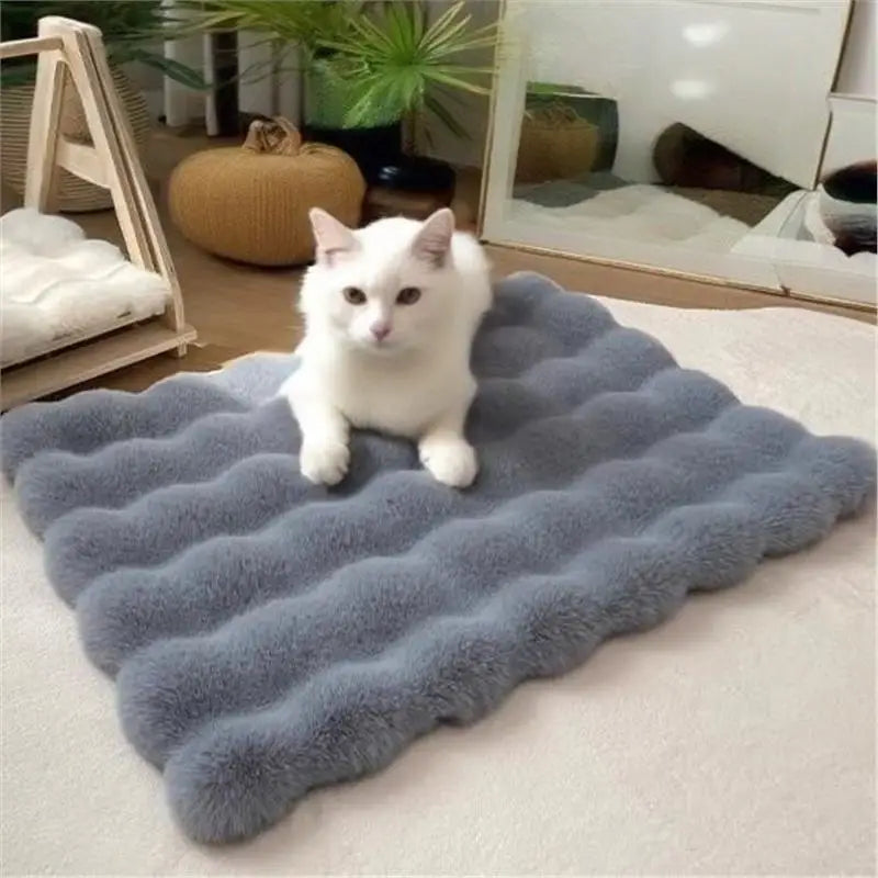 Cat Bed Eco-Friendly 100% Cotton Solid Dog Bed-Classic Non-Waterproof Lightweight Hand Wash All Seasons Use for Living Room