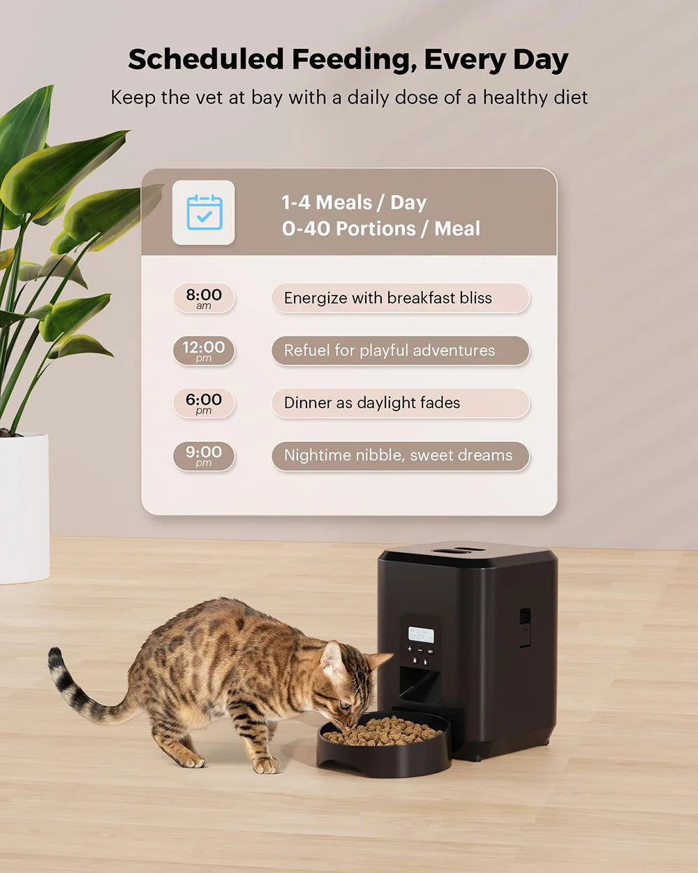 2L Automatic Cat Feeder with Camera Video with Night Vision 2.4G WiFi Automatic Pet Feeder Smart Dog Feeder Cat Food Dispenser
