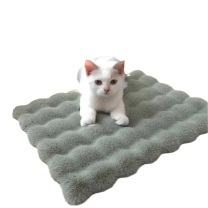 Cat Bed Eco-Friendly 100% Cotton Solid Dog Bed-Classic Non-Waterproof Lightweight Hand Wash All Seasons Use for Living Room