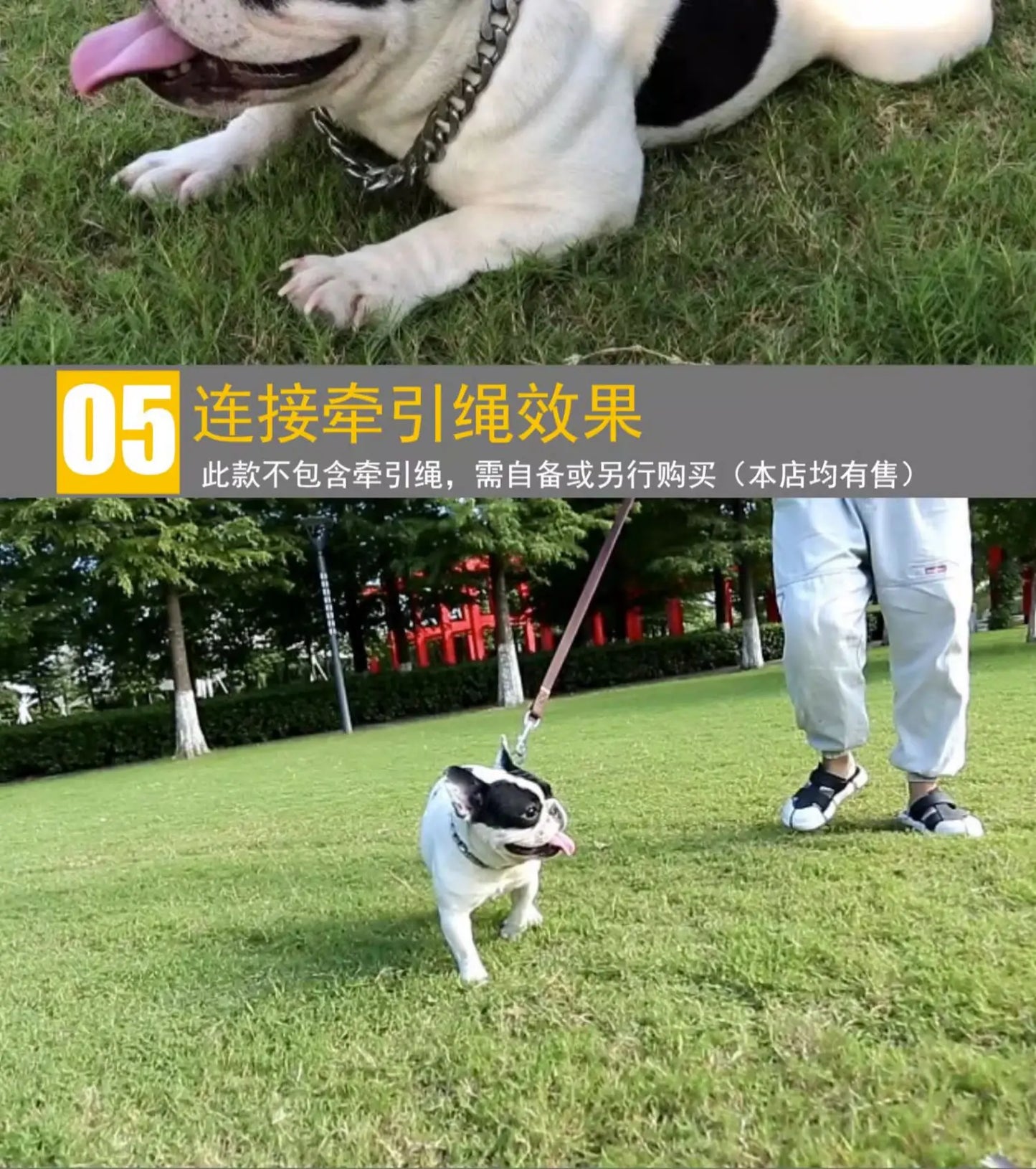 30-75CM 304 Stainless Steel P Chain Dog Collar Pet Neck Strap and Leash for Small Medium and Large Dogs