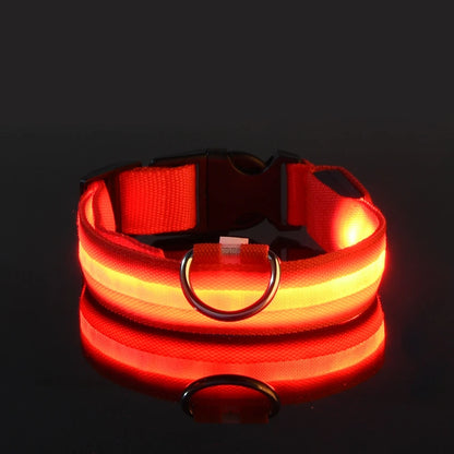 Glowing Pet Collar Leash - Varixo