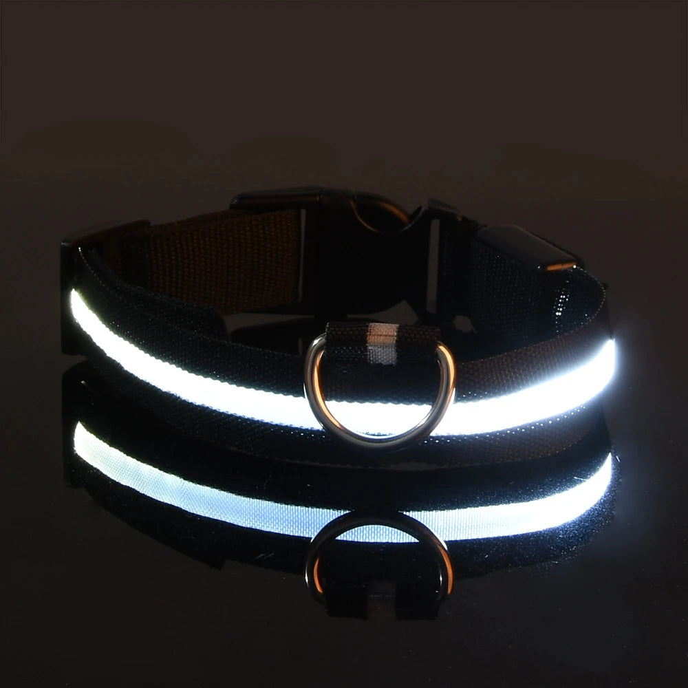 Glowing Pet Collar Leash - Varixo