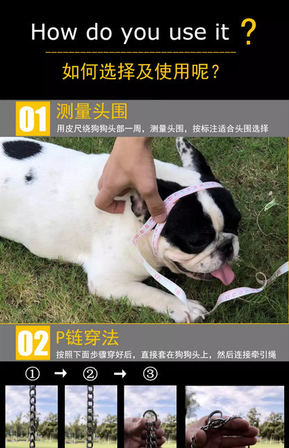 30-75CM 304 Stainless Steel P Chain Dog Collar Pet Neck Strap and Leash for Small Medium and Large Dogs