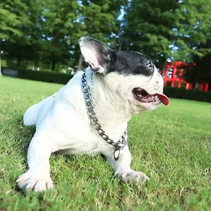 30-75CM 304 Stainless Steel P Chain Dog Collar Pet Neck Strap and Leash for Small Medium and Large Dogs