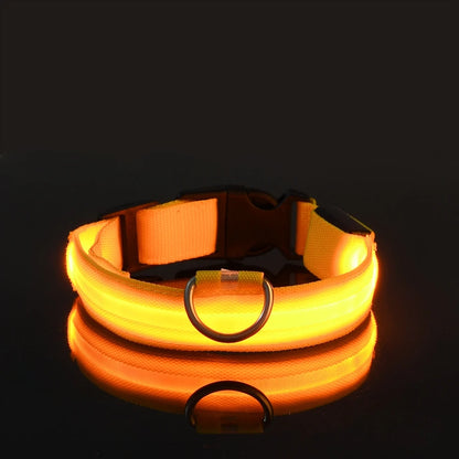 Glowing Pet Collar Leash - Varixo