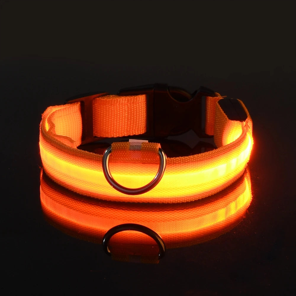 Glowing Pet Collar Leash - Varixo