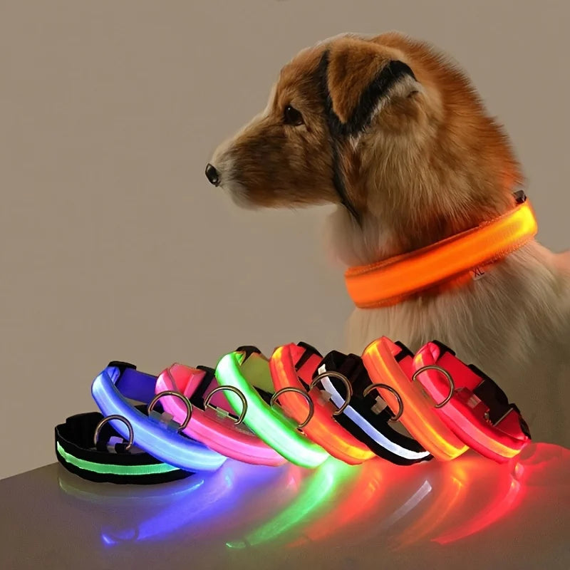 Glowing Pet Collar Leash - Varixo
