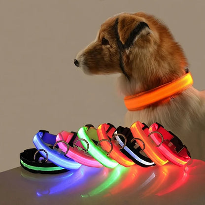 Glowing Pet Collar Leash - Varixo