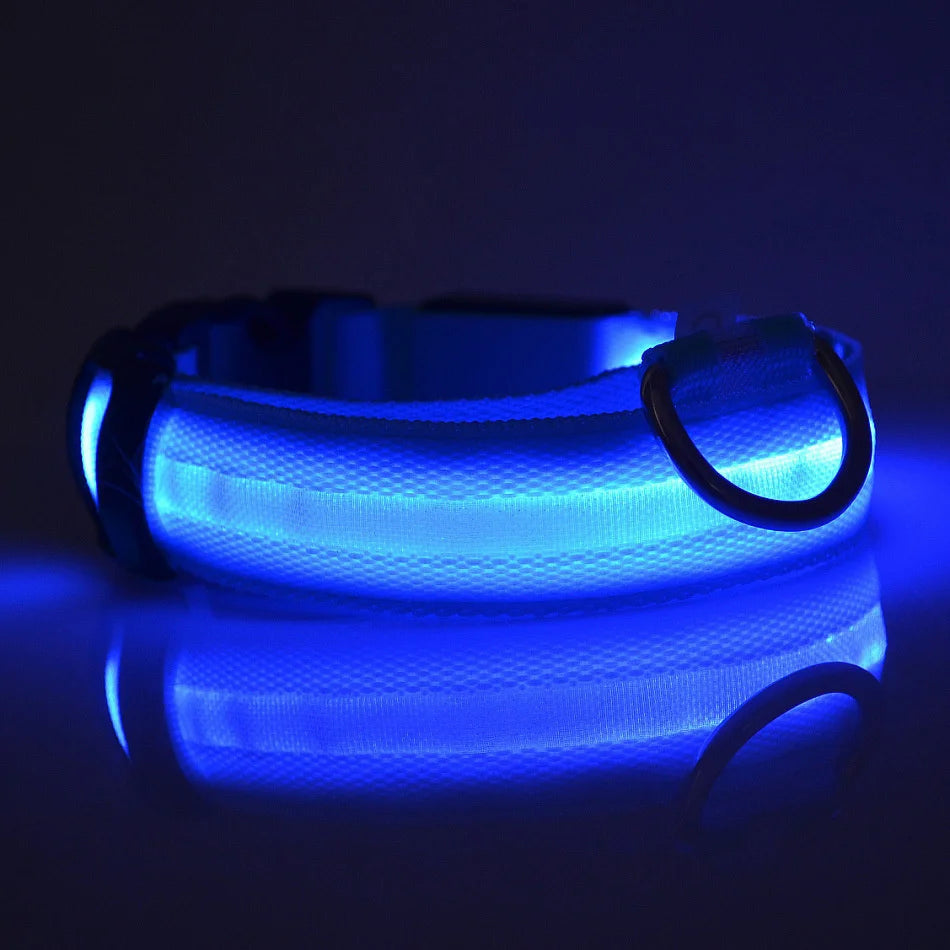 Glowing Pet Collar Leash - Varixo