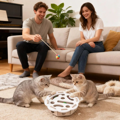 Cat Ball Puzzle Toy Pet Felt Play Game Cat Puzzle Box Game For Indoor Outdoor Home Garden Backyard Exercise Patio Balcony