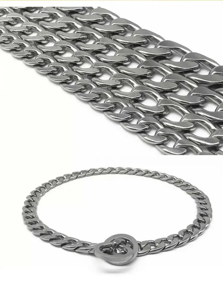 30-75CM 304 Stainless Steel P Chain Dog Collar Pet Neck Strap and Leash for Small Medium and Large Dogs