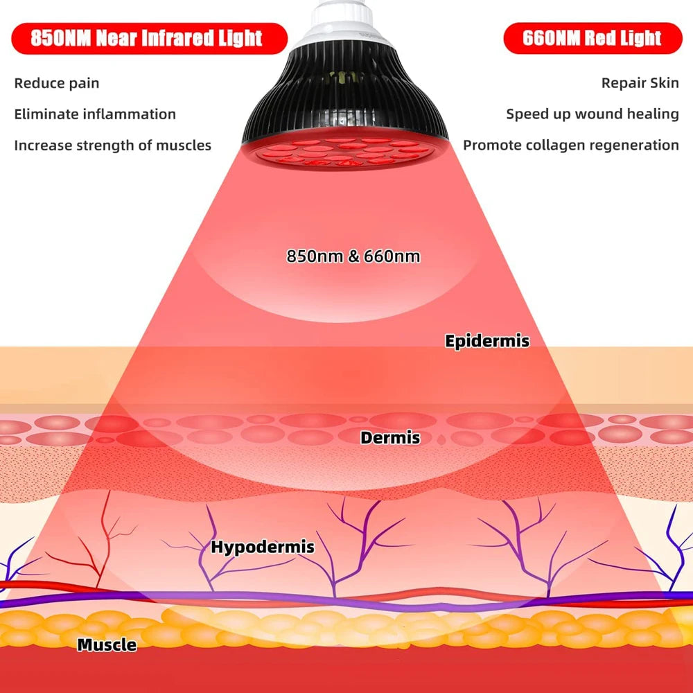 Red and Infrared Light Therapy Lamp 660nm 850nm for Physiotherapy Instrument Facial BodyTreatment Anti Aging Beauty Devices
