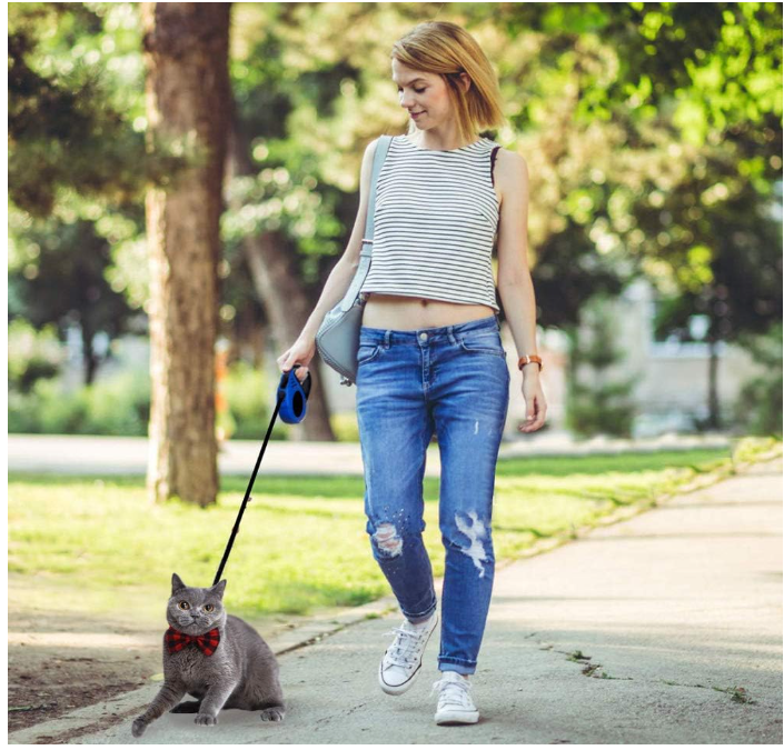 Retractable Cat and Dog Leash And Collar - Varixo