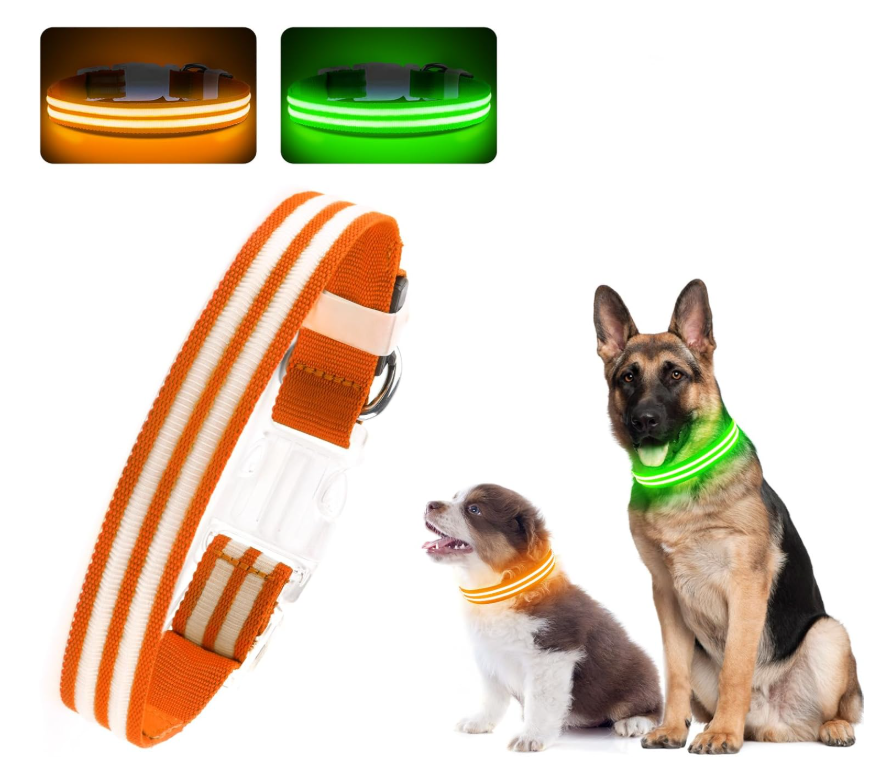 Glowing Pet Collar Leash - Varixo