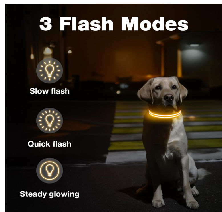 Glowing Pet Collar Leash - Varixo