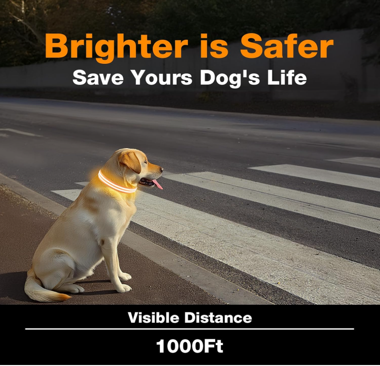 Glowing Pet Collar Leash - Varixo