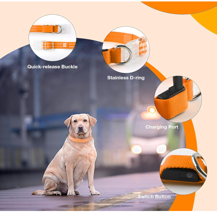 Glowing Pet Collar Leash - Varixo