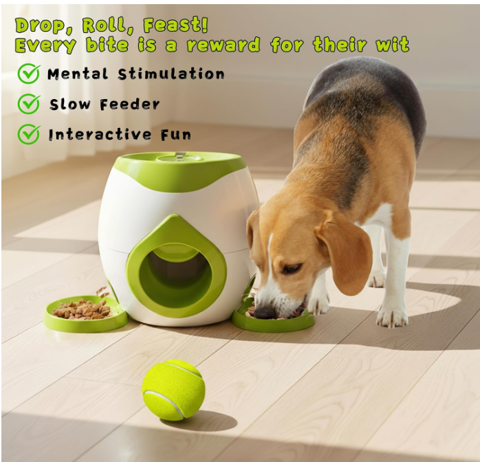 2-in-1 Interactive pet puzzle & Slow Feeder - Varixo