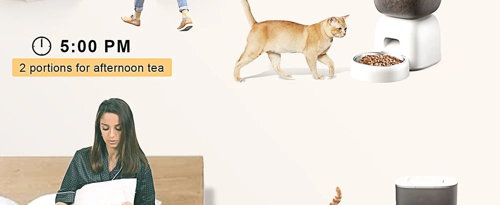 3L Automatic Pet Feeder Smart Food Dispenser Cat & Dog Timer Stainless Steel Bowl Automatic Dog & Cat Pet Feeding Pet Supplies