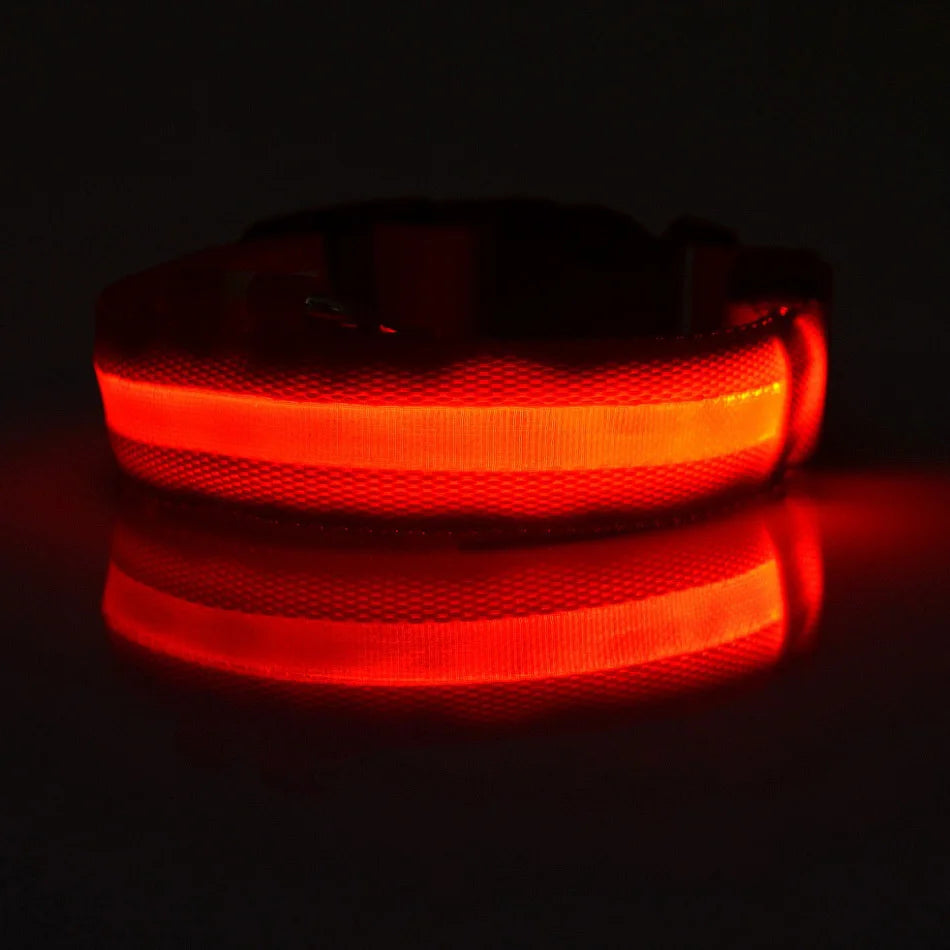 Glowing Pet Collar Leash - Varixo