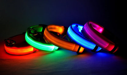 Glowing Pet Collar Leash - Varixo
