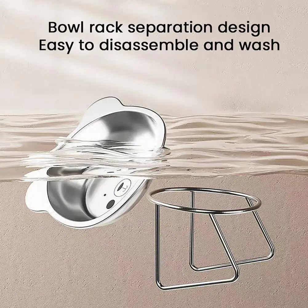 Easy to Clean Cat Dish Stainless Steel Elevated Cat Bowls 15-degree Tilted Food Water Dishes for Indoor Cats Small Dogs for Cats