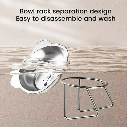 Easy to Clean Cat Dish Stainless Steel Elevated Cat Bowls 15-degree Tilted Food Water Dishes for Indoor Cats Small Dogs for Cats