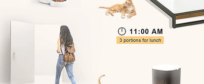 3L Automatic Pet Feeder Smart Food Dispenser Cat & Dog Timer Stainless Steel Bowl Automatic Dog & Cat Pet Feeding Pet Supplies