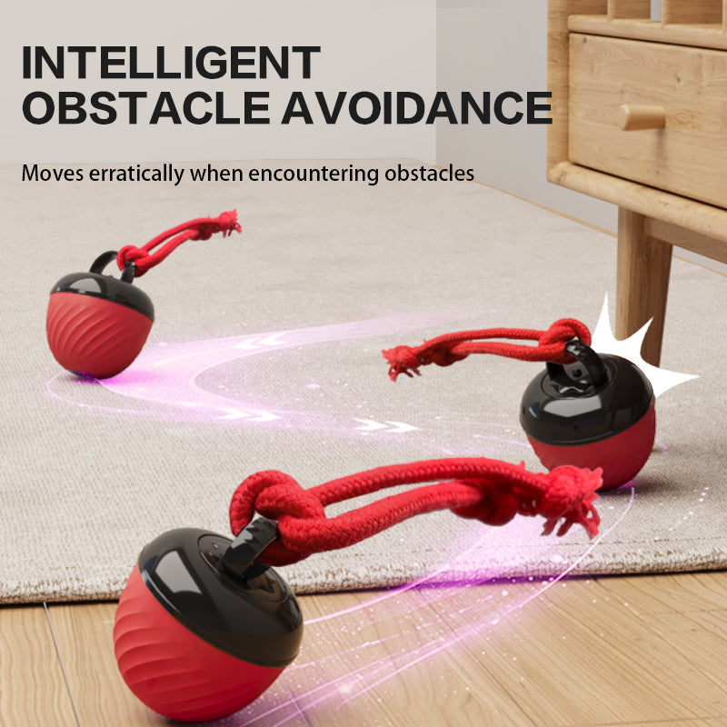 Electronic Interactive Moving Ball Pet Toy - Varixo