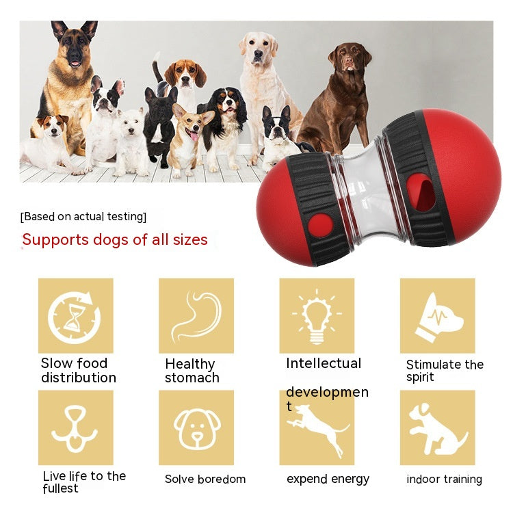 Food Dispensing pet Toy - Varixo