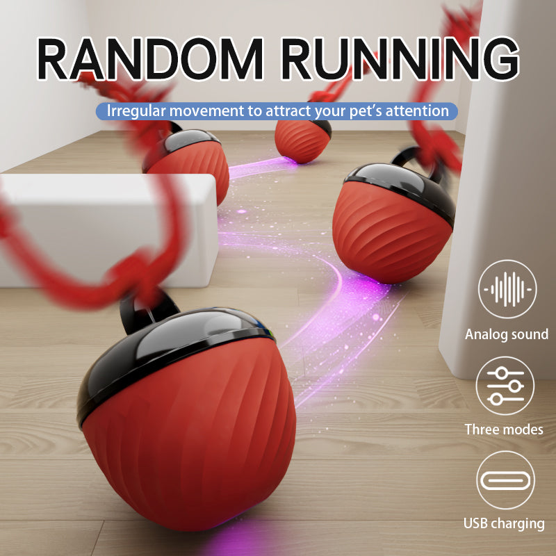 Electronic Interactive Moving Ball Pet Toy - Varixo