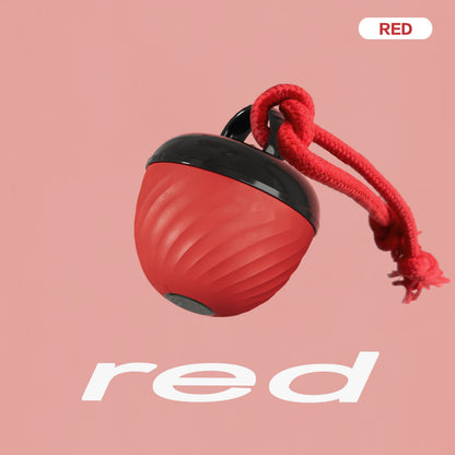 Electronic Interactive Moving Ball Pet Toy - Varixo