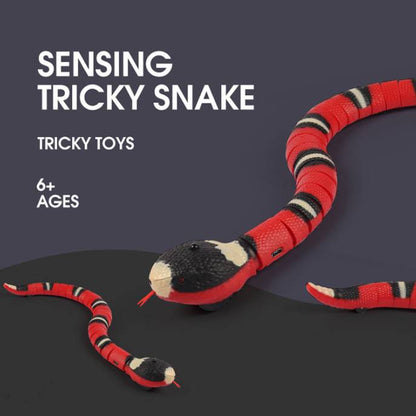 Interactive Electric Induction Snake Funny Cat Toy - Varixo
