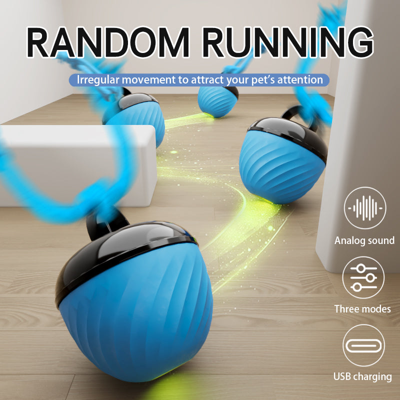 Electronic Interactive Moving Ball Pet Toy - Varixo