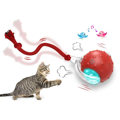 Interactive Cat Toy Ball Super Drive Cat Rolling Ball - Varixo